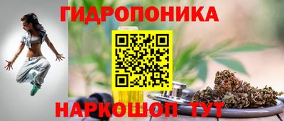 тгк Можга