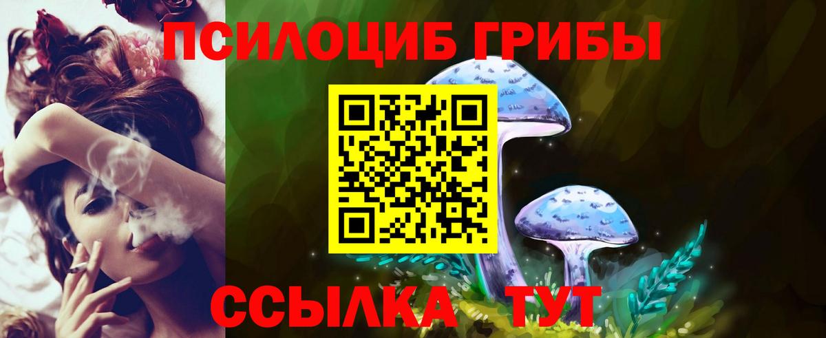 Псилоцибиновые грибы MAGIC MUSHROOMS  Вход с VPN  Дивногорск 