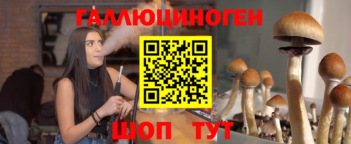 Галлюциногенные грибы Psilocybine cubensis Дивногорск